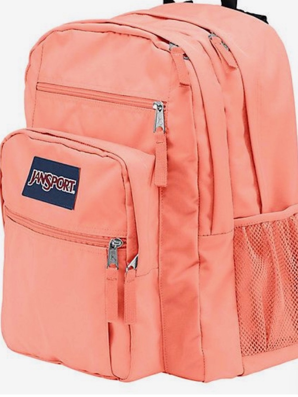JanSport Coral Pink/orange Backpack